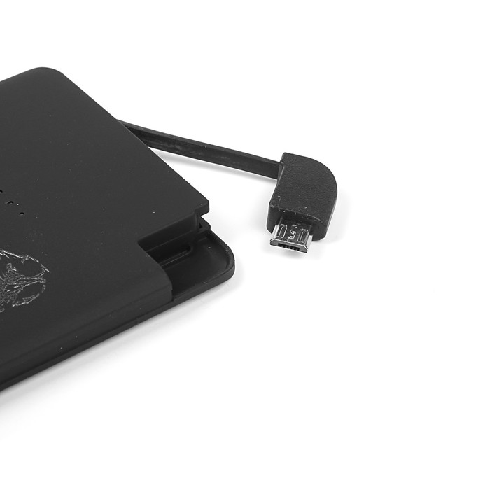 Аккумулятор внешний Deppa NRG Art, USB, Apple 8-pin, 2A, 5000 мАч, Медведь