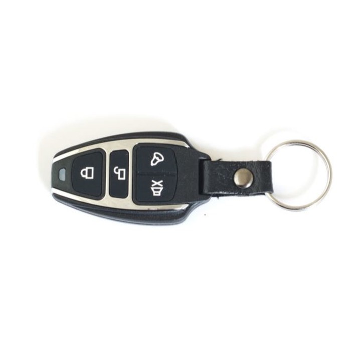 Автосигнализация Piton X-2