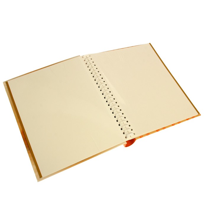 Фотоальбом магнитный 10 листов Pioneer Puppies and kittens 2 23х28 см