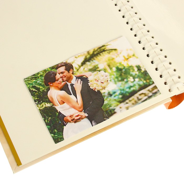 Фотоальбом магнитный 10 листов Pioneer Puppies and kittens 2 23х28 см