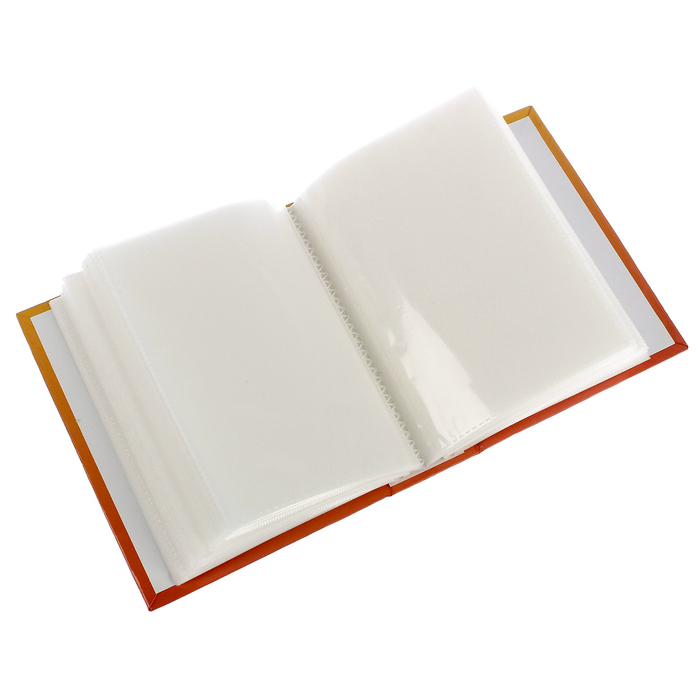 Фотоальбом на 100 фото 10х15 см Pioneer Fleur-de-lis3