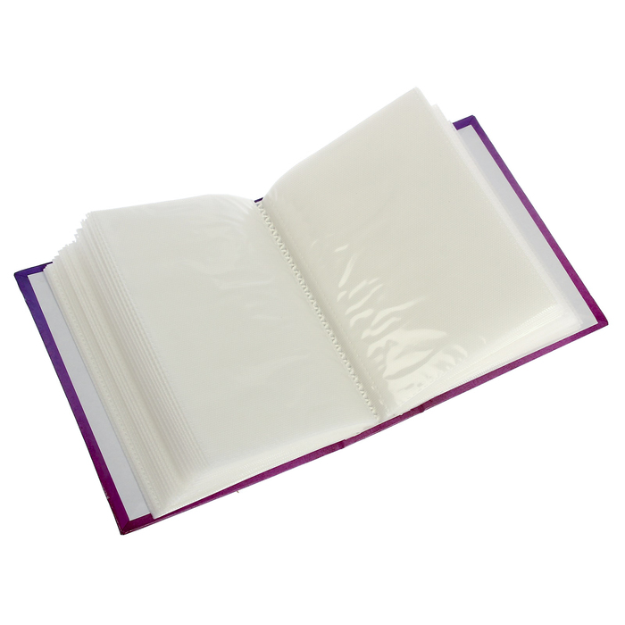 Фотоальбом на 100 фото 10х15 см Pioneer Romantic flower 2