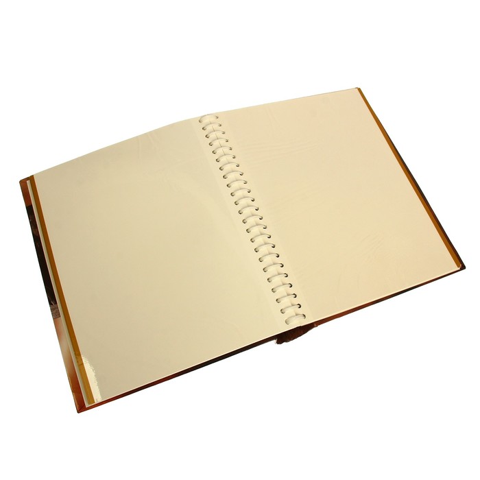 Фотоальбом магнитный 30 листов Pioneer Classic style 23х28 см МИКС