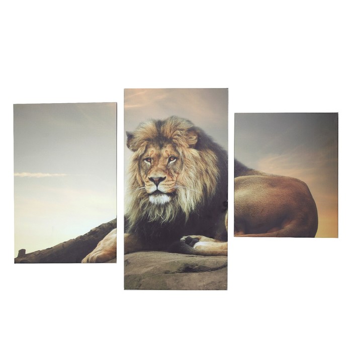 Модульная картина "Лев"  26х31, 26х50 и 26х40,  78*50 см