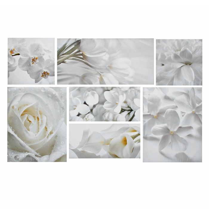 Модульная картина "Белые цветы" 127*79 см  (2-30х30; 2-38х47; 2-45х22; 1-61х30)