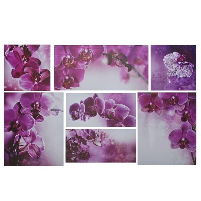 Модульная картина "Фиолетовые орхидеи" 127*79 см  (2-30х30; 2-38х47; 2-45х22; 1-61х30)