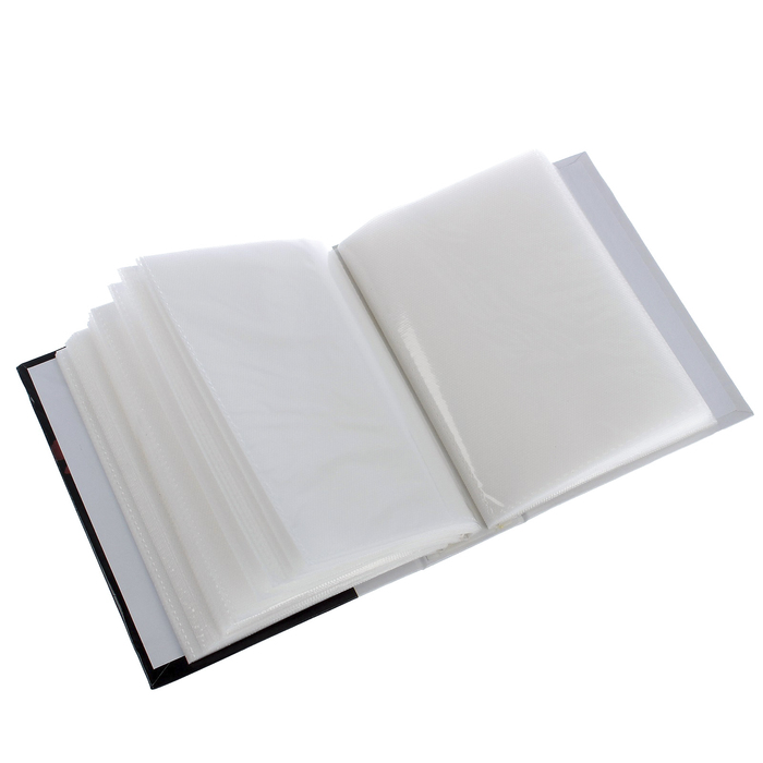 Фотоальбом на 100 фото 10х15 см Big Dog BWC BOUQUET