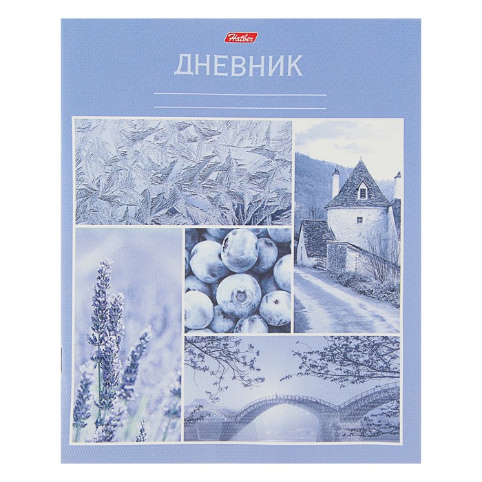 Дневник для 1-11 класса, мягкая обложка "Цветные грезы", тиснение, 40 листов