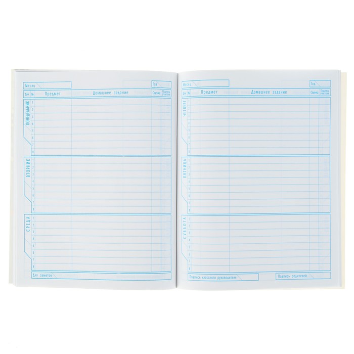 Дневник для 1-11 класса, мягкая обложка "Команда России", 40 листов