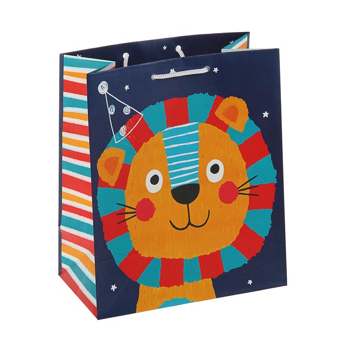 Пакет подарочный "Бонифаций" , 24 х 20 х 10.2 см