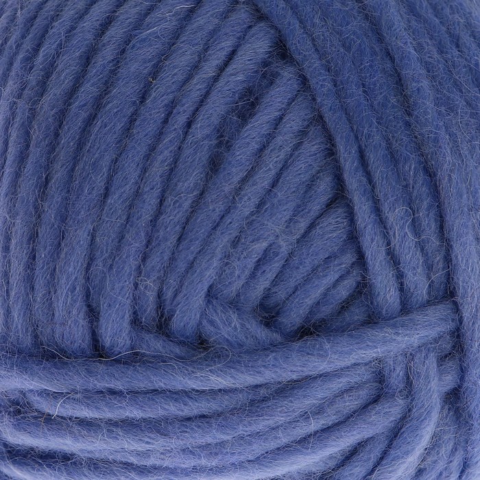 Пряжа "Adelia Benny" 100% шерсть 96м/100гр (733 св, синий)