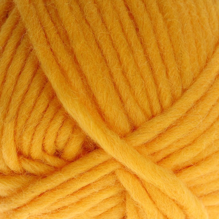 Пряжа "Adelia Benny" 100% шерсть 96м/100гр (752 жёлтый)