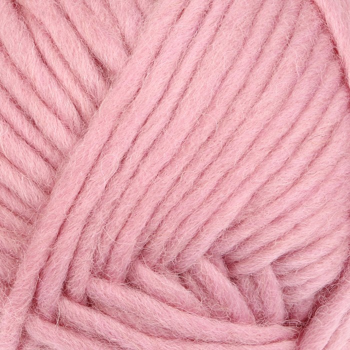 Пряжа "Adelia Benny" 100% шерсть 96м/100гр (787 св,розовый)