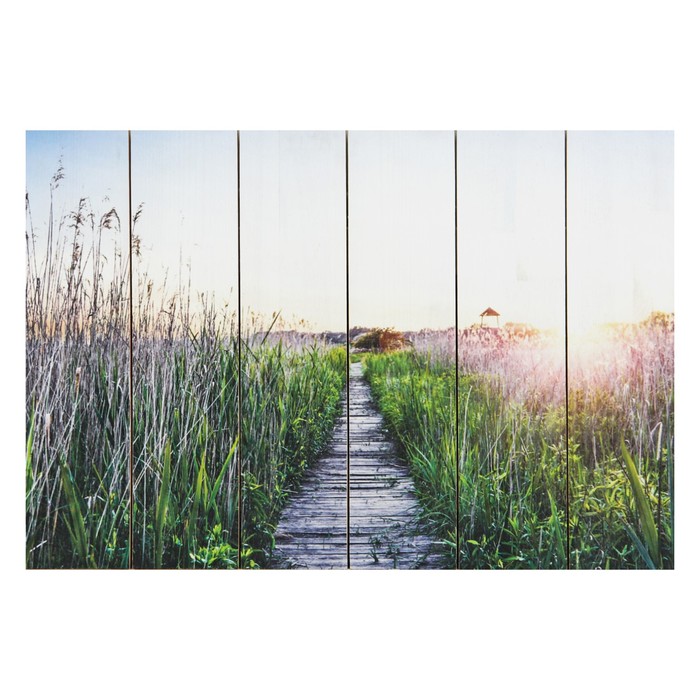 Картина на доске "Восход" 40*60 см