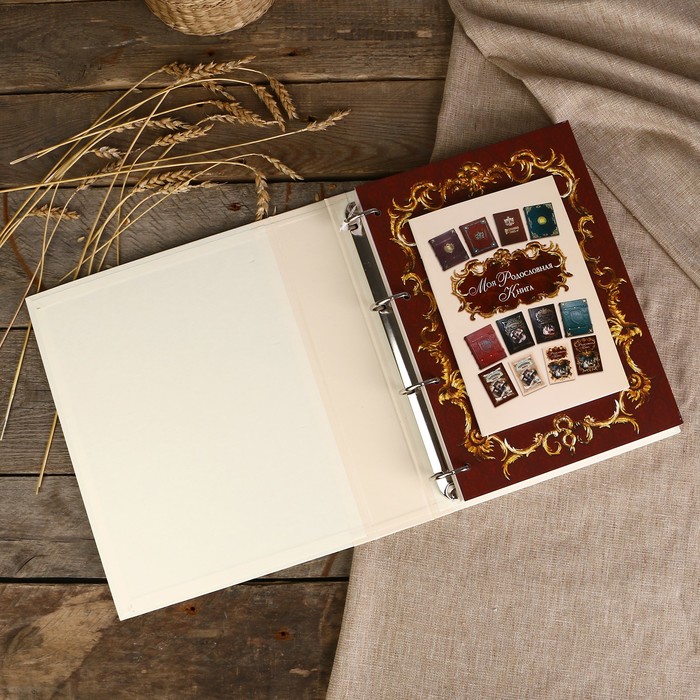 Родословная книга-альбом "Эрмитаж" 24,5×31,0×5,5 см, 108 листов, имитлин светлый