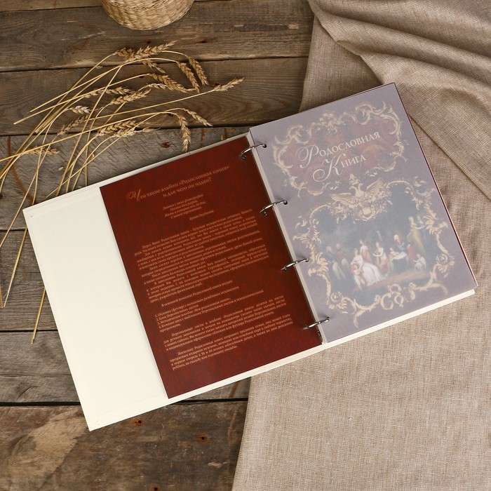 Родословная книга-альбом "Эрмитаж" 24,5×31,0×5,5 см, 108 листов, имитлин светлый