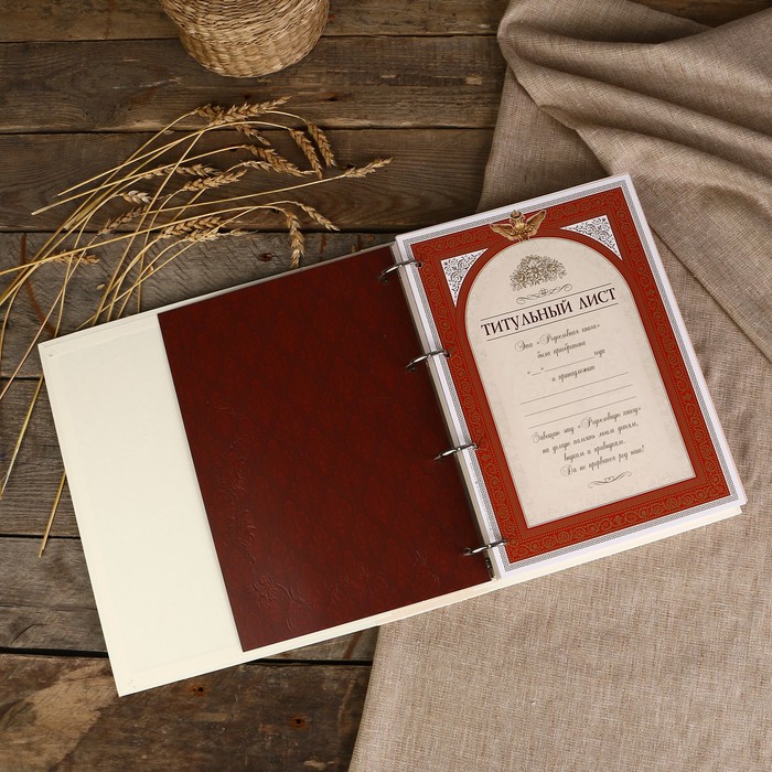 Родословная книга-альбом "Эрмитаж" 24,5×31,0×5,5 см, 108 листов, имитлин светлый