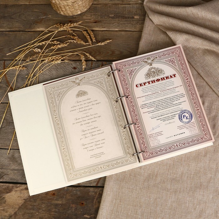 Родословная книга-альбом "Эрмитаж" 24,5×31,0×5,5 см, 108 листов, имитлин светлый