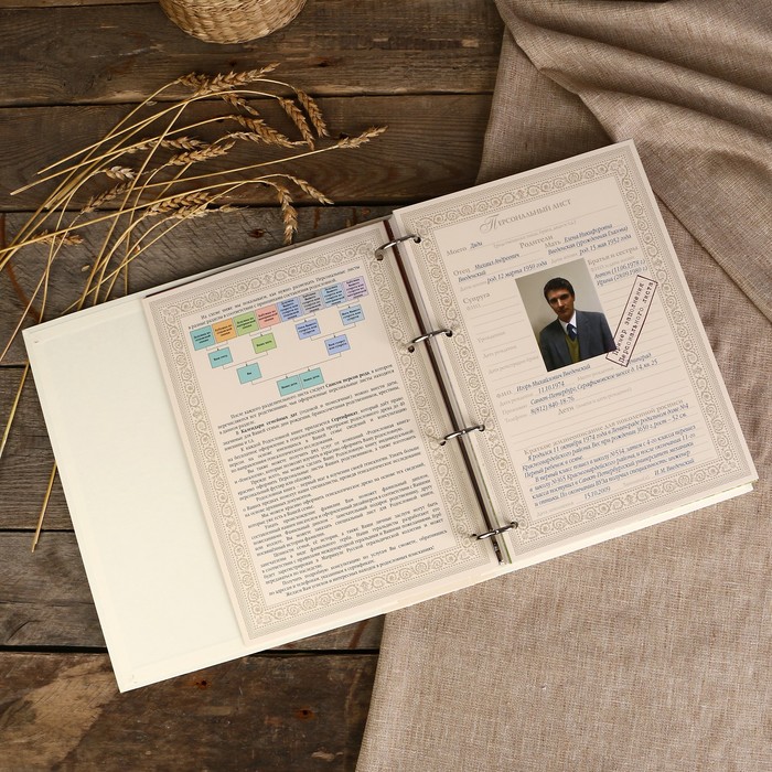 Родословная книга-альбом "Эрмитаж" 24,5×31,0×5,5 см, 108 листов, имитлин светлый