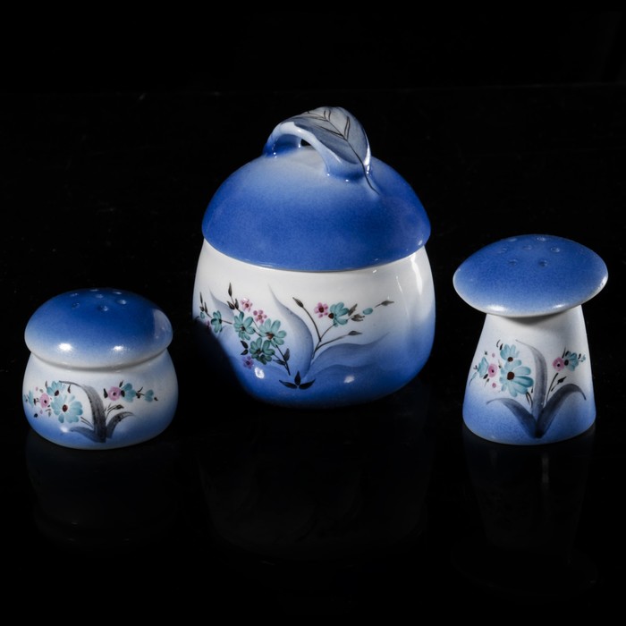 Набор для специй "Рассвет. Полевой цветок": солонка 180 мл, сосуд для специй 51 мл