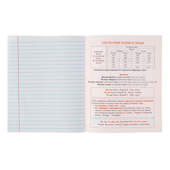 тетрадь 12л лин с грамматикой, обл. офсет пл. 120, блок офсет пл. 65