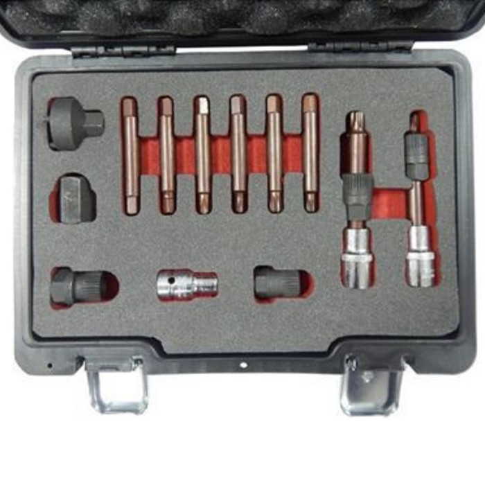 Набор Forsage F-04D2002D, для снятия шкивов генераторов, 1/2", 15 предметов, кейс