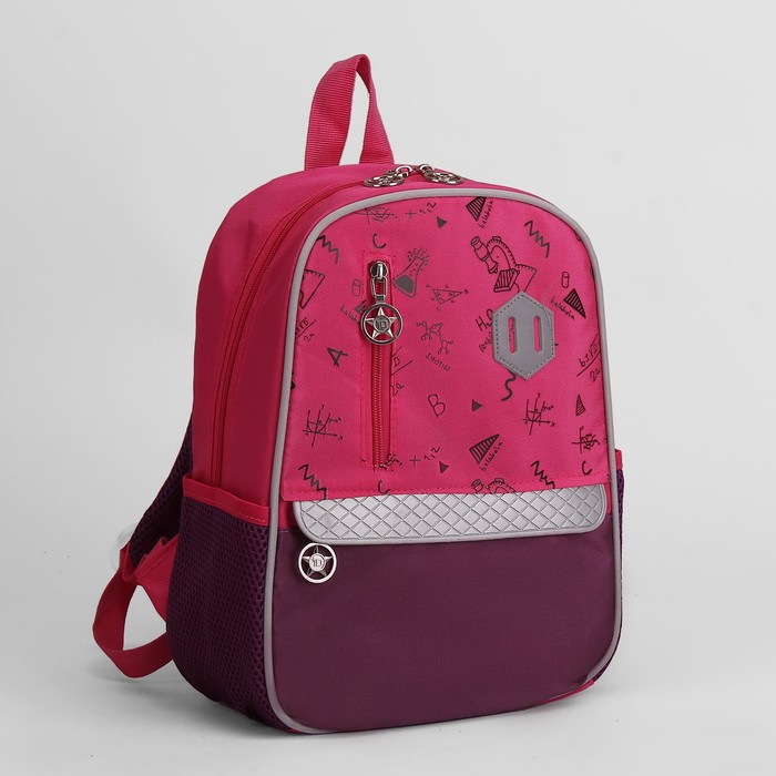 Рюкзак молодёжный "Наука", отдел на молнии, 2 наружных кармана, 2 боковые сетки, дышащяя спинка, цвет розовый