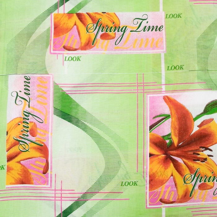 Постельное бельё евро диз. 1196/1 200х220см, 220х200см, 70х70см - 2 шт., бязь 100 гр/м ², хл 100%