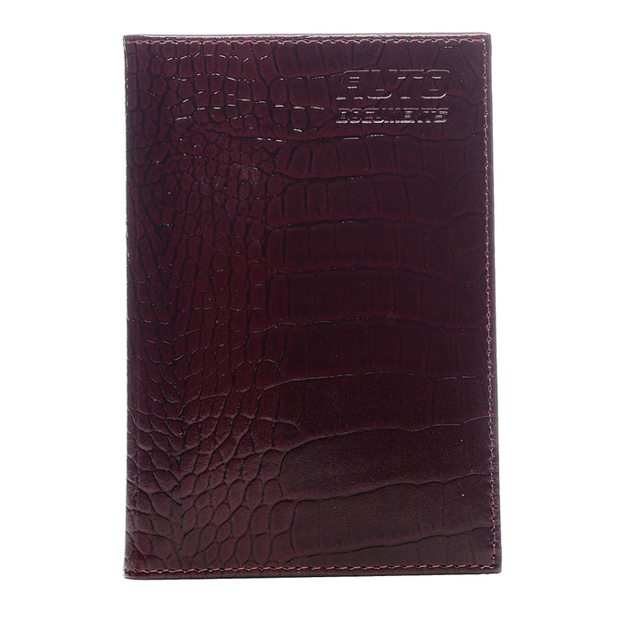 Бумажник для автодокументов без застёжки, 1 ряд, 8 карманов, цвет красный