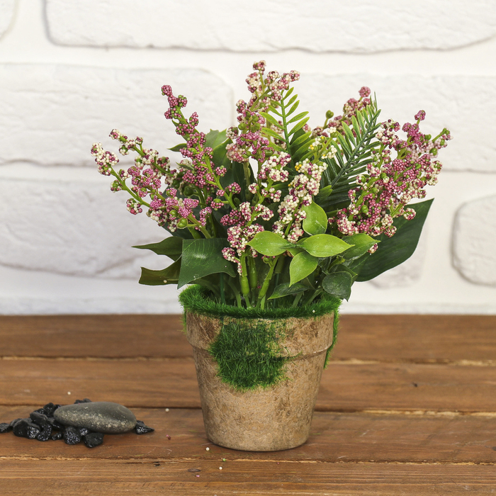 Бонсай в горшке "Лаконос" 8*18 см, микс