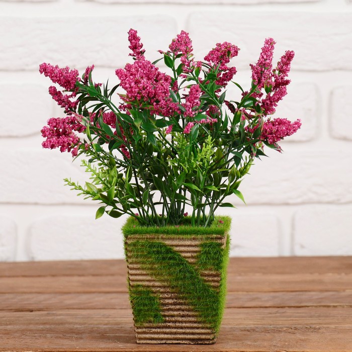 Бонсай в горшке "Грозди цветов" 8*23 см, микс