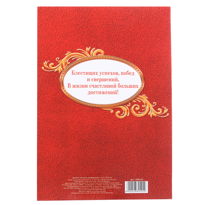 Диплом "Лучший руководитель"