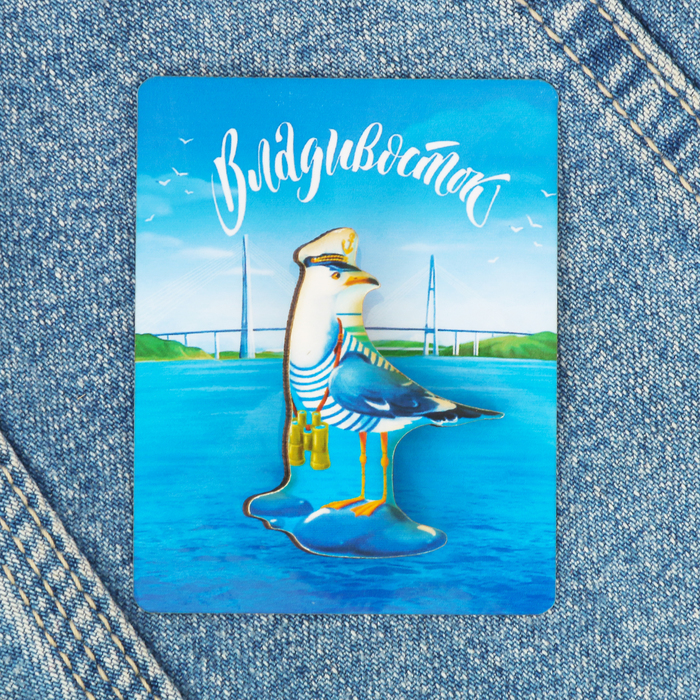 Значок «Владивосток. Чайка»