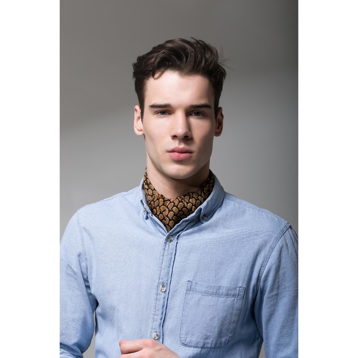 Палантин мужской Этель "Мартин", размер 25 х 130 см, цвет чёрный/бежевый