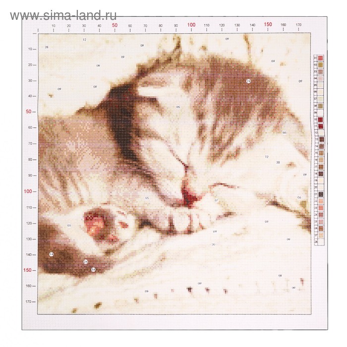 Канва для вышивания с рисунком «Котёнок» 41 х 41 см