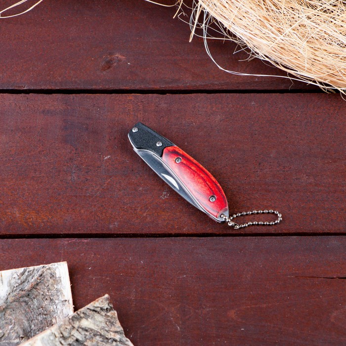 Нож складной неавтоматический сувенирный без фиксатора с карабином, рукоять дерево