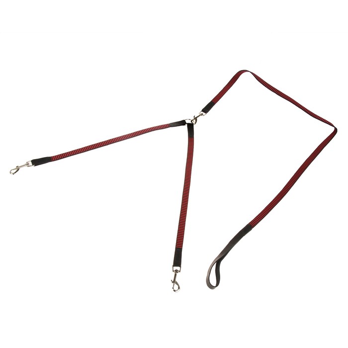 Комплект Зооник поводок 1.5 м с двойной своркой, капроновая лента, 20 мм МИКС ЦВЕТОВ