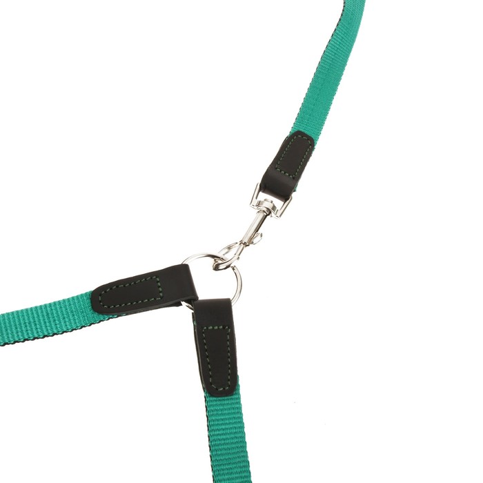 Комплект Зооник поводок 1.5 м с двойной своркой, капроновая лента, 20 мм МИКС ЦВЕТОВ