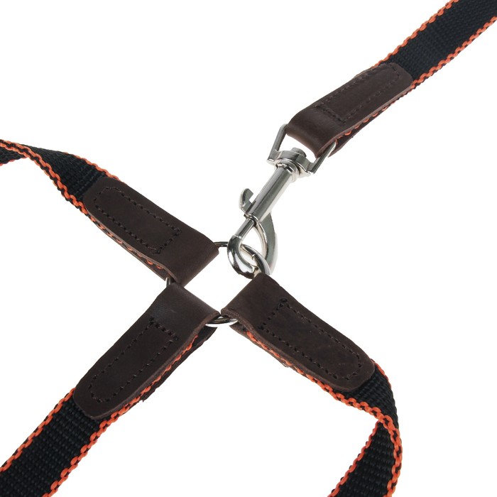 Комплект Зоник поводок 1.5 м с тройной своркой, капроновая лента, 20 мм