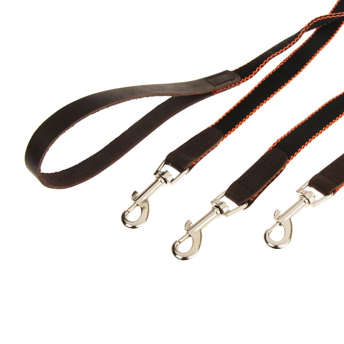 Комплект Зоник поводок 1.5 м с тройной своркой, капроновая лента, 20 мм