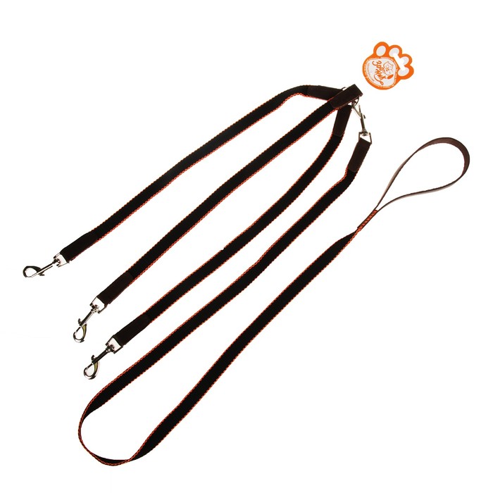 Комплект Зоник поводок 1.5 м с тройной своркой, капроновая лента, 20 мм