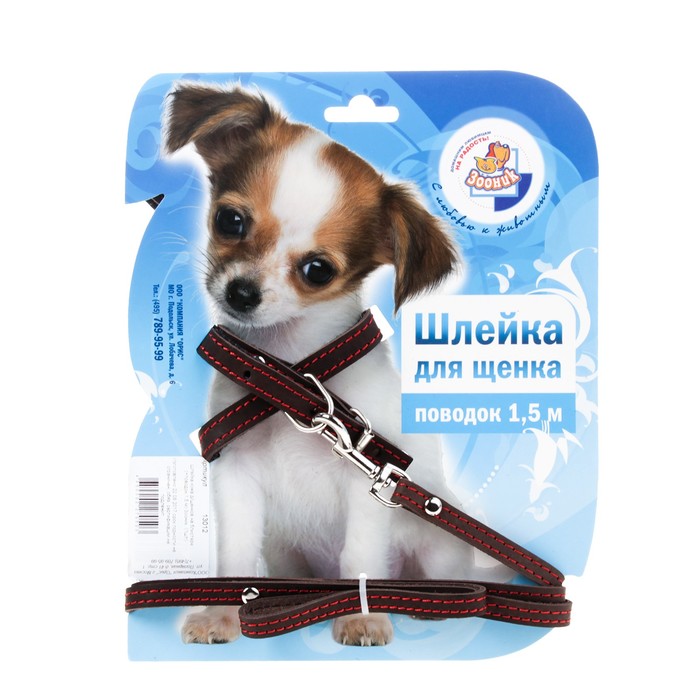 Комплект Зоник шлейка с поводком для щенков, 1.5 м, кожа МИКС ЦВЕТОВ