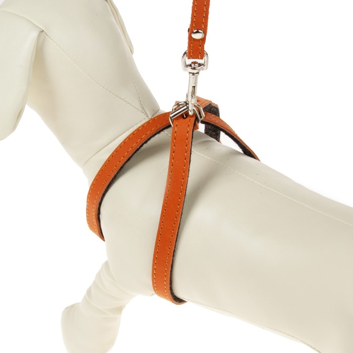 Комплект Зоник шлейка с поводком для щенков, 1.5 м, кожа МИКС ЦВЕТОВ