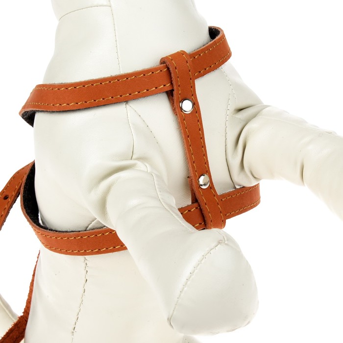 Комплект Зоник шлейка с поводком для щенков, 1.5 м, кожа МИКС ЦВЕТОВ