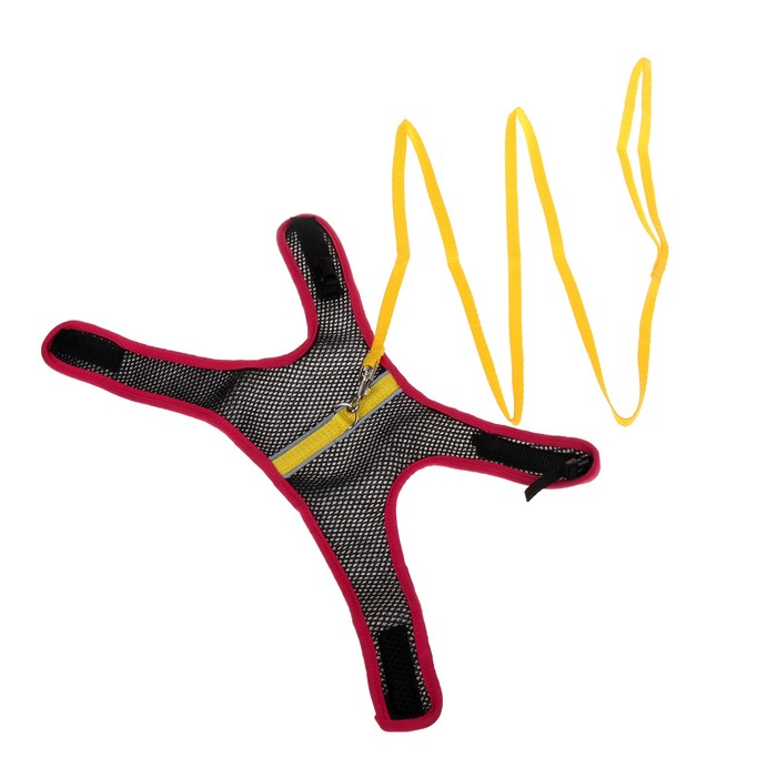 Комплект Зооник №3, шлейка из сетки с поводком, стропа 10 мм МИКС ЦВЕТОВ