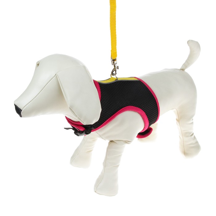 Комплект Зооник №3, шлейка из сетки с поводком, стропа 10 мм МИКС ЦВЕТОВ