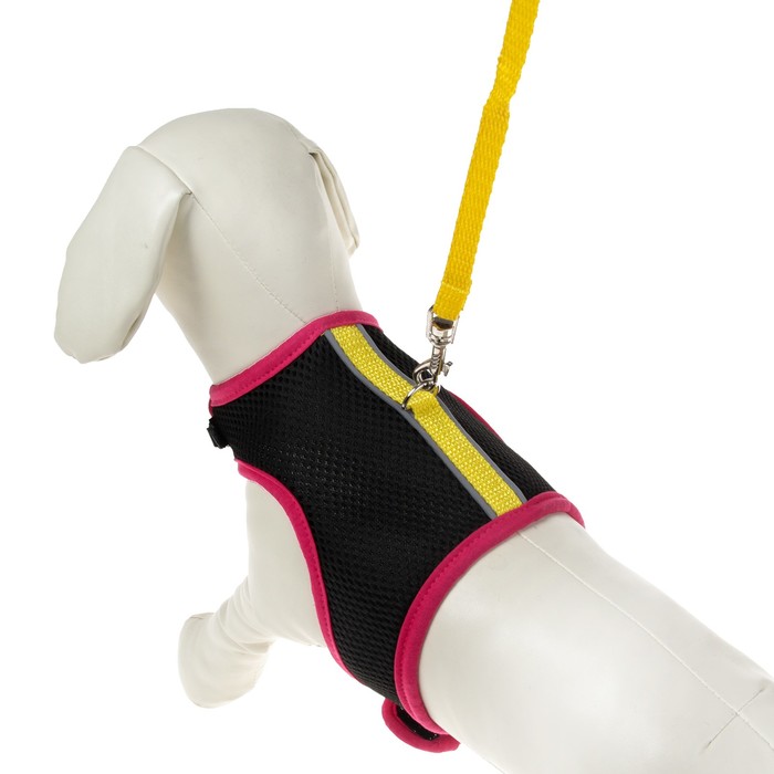 Комплект Зооник №3, шлейка из сетки с поводком, стропа 10 мм МИКС ЦВЕТОВ