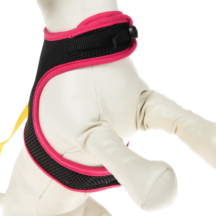 Комплект Зооник №3, шлейка из сетки с поводком, стропа 10 мм МИКС ЦВЕТОВ