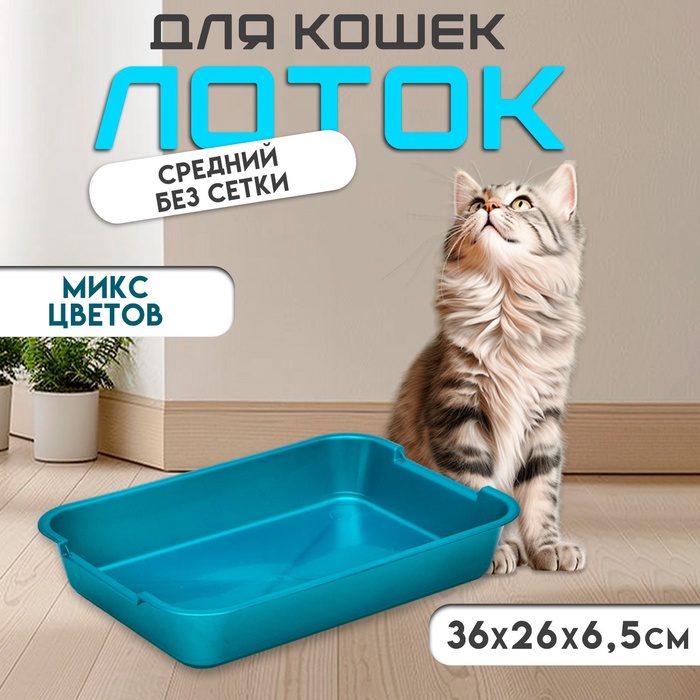 

Туалет средний, без сетки 36 х 26 х 6,5 см, микс цветов