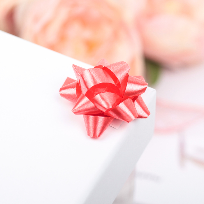 Бант-звезда №3,5 (ФАСОВКА 8 ШТ) простой красный